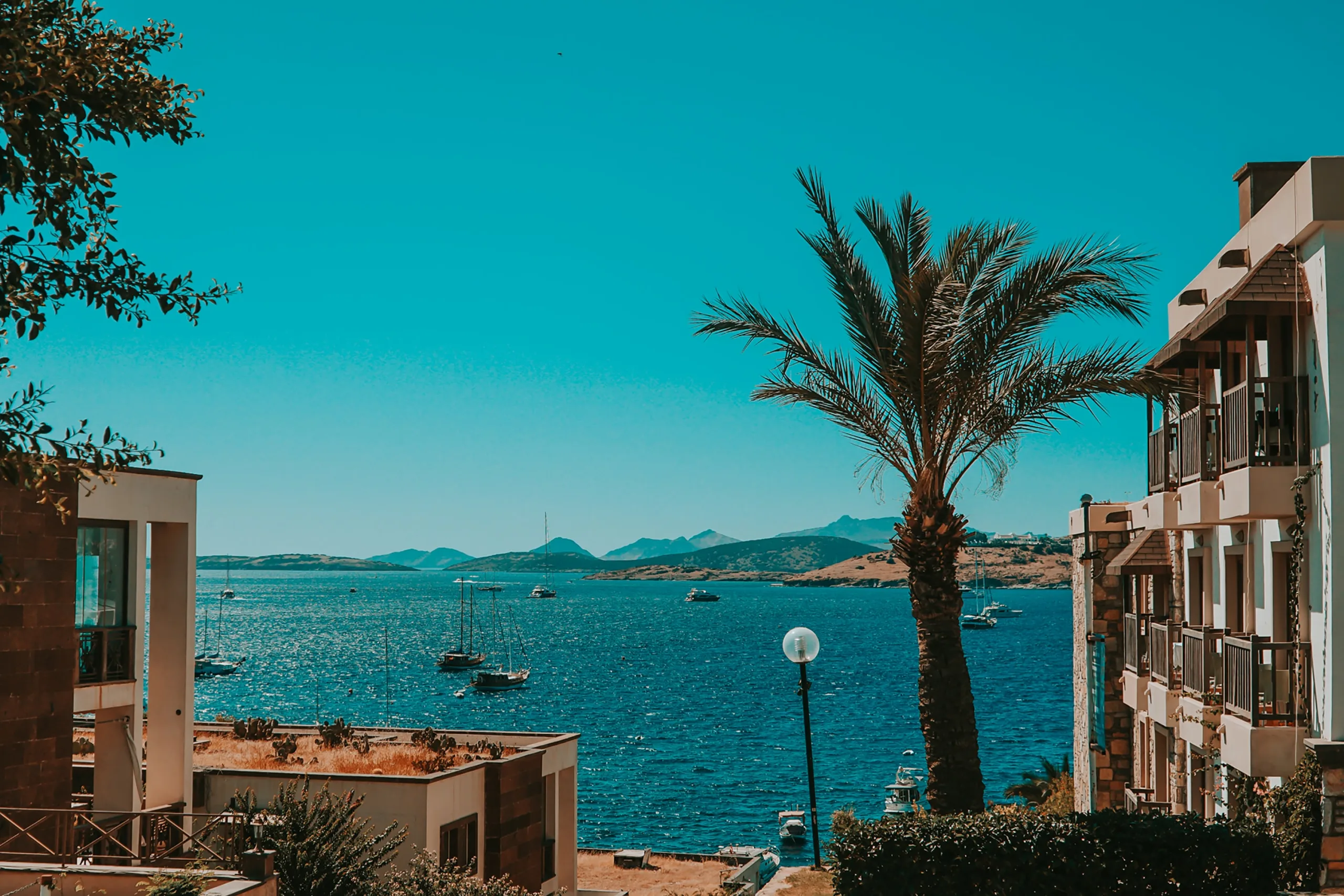 the seaside view with palm trees in Bodrum, turkey - winter getaway